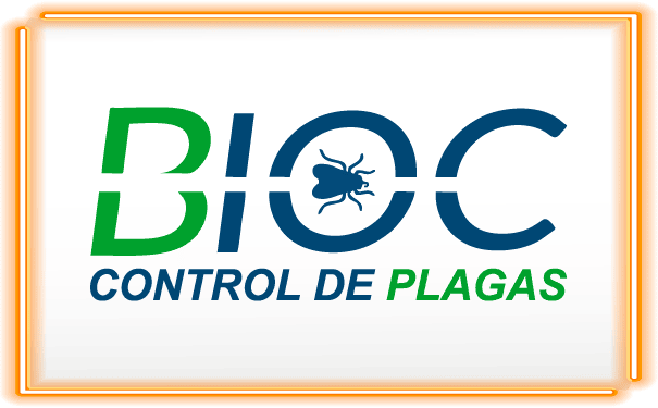 logo compradora